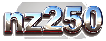 nz250 logo